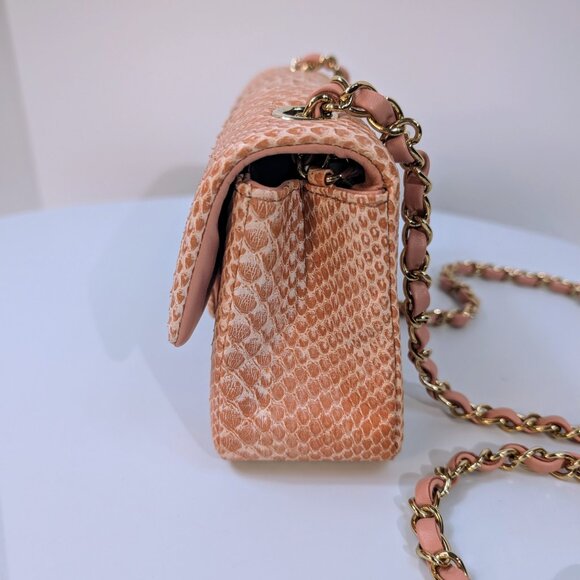 Chanel Salmon Pink Mini Rectangular Classic Flap Bag in Exotic Leather - Picture 4 of 16